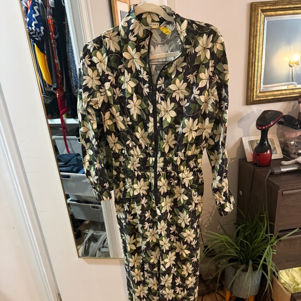 Alice and Olivia jumpsuit